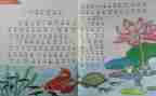 语文老师个人教学工作总结参考6篇