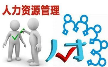 工作总结范文人力模板8篇