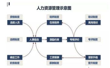2022年人力资源工作总结5篇