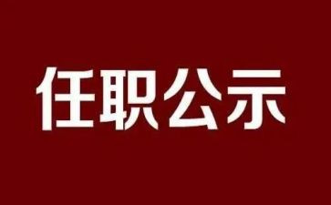 任职以来专业工作总结7篇