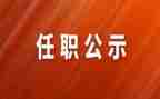 教师任职来工作总结7篇