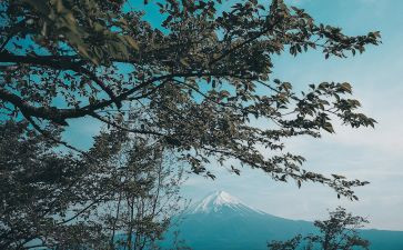 日本书的读后感6篇