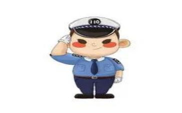 新入警的个人总结精选5篇