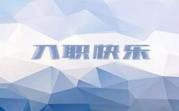 入职新工作总结范文6篇