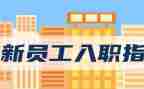 入职前的个人工作总结7篇