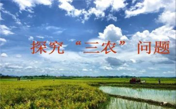 乡三农工作总结7篇
