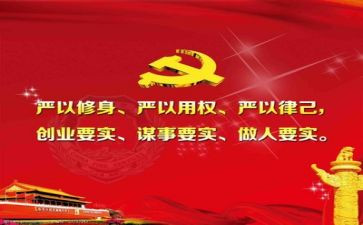 工作总结三严三实8篇