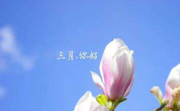 三月教师月工作总结5篇