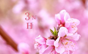 三月大班月工作总结5篇
