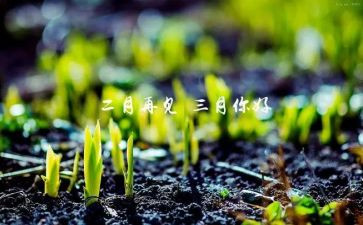 幼儿园中班三月份工作计划6篇