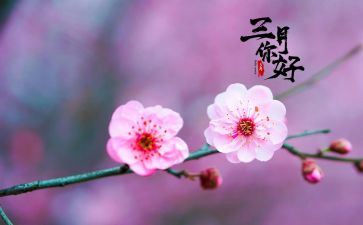 幼儿园二三月个人总结8篇
