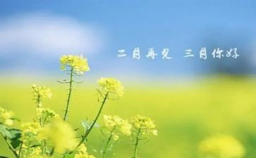 小学三月分活动总结5篇