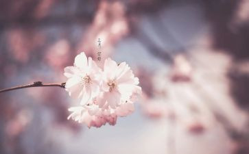 班主任三月份工作总结6篇