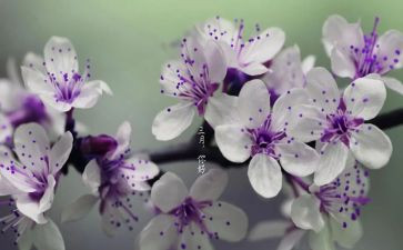 大班三月份工作总结2022年8篇