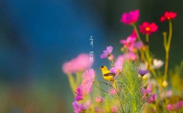 三月教育心得6篇