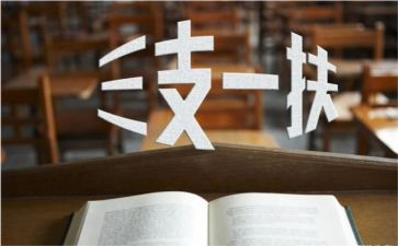 三支一扶工作年度总结6篇