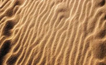海沙买卖合同通用5篇