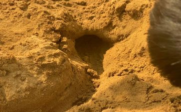 大班好玩的沙教案5篇