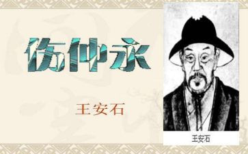 《伤仲永》读后感500字7篇