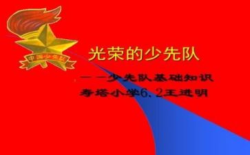 少先队工作总结2022精选6篇