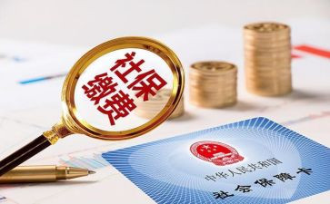 社保工作总结个人总结6篇