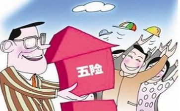入社保的工作总结参考8篇