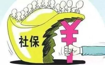 社保年度工作总结6篇