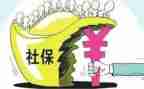 社保年度总结6篇
