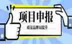 教师申报中级职称述职报告8篇