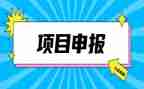 小学教师申报高级教师职称述职报告8篇