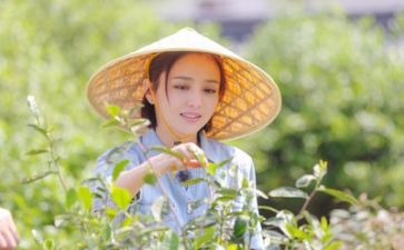 工作总结和生活总结参考7篇