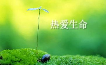 生命与安全的教案5篇
