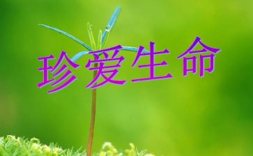 生命与安全教学计划5篇