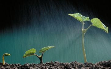 《生命,生命》读后感优质6篇
