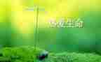 生命与安全的教案5篇