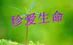 珍爱生命的活动总结6篇