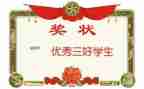 大学生系三好个人总结5篇