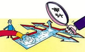 审计个人总结2022年6篇