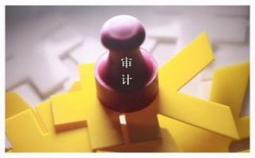 公司年度审计工作总结8篇