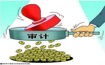 银行审计员个人工作总结6篇