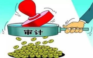财务审计股工作总结6篇