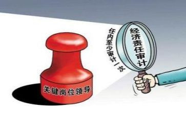 年度审计个人总结7篇