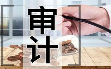 审计助理年终工作总结6篇