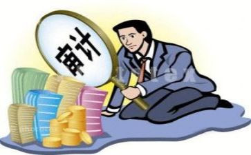 公司审计个人总结7篇