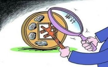 审计从员年终总结6篇