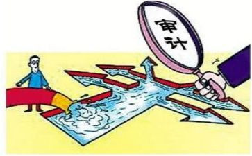 审计总个人总结8篇