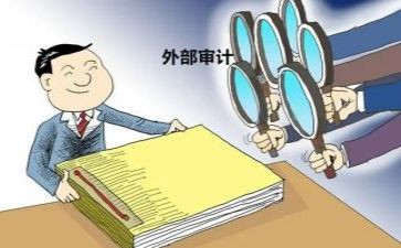 州审计局工作总结5篇