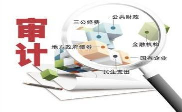 审计室上半年工作总结7篇