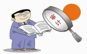 2022年工作总结审计5篇