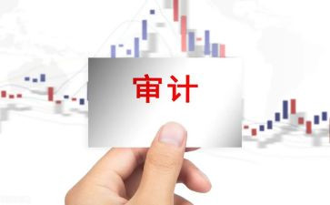 审计室年终总结范文优质8篇